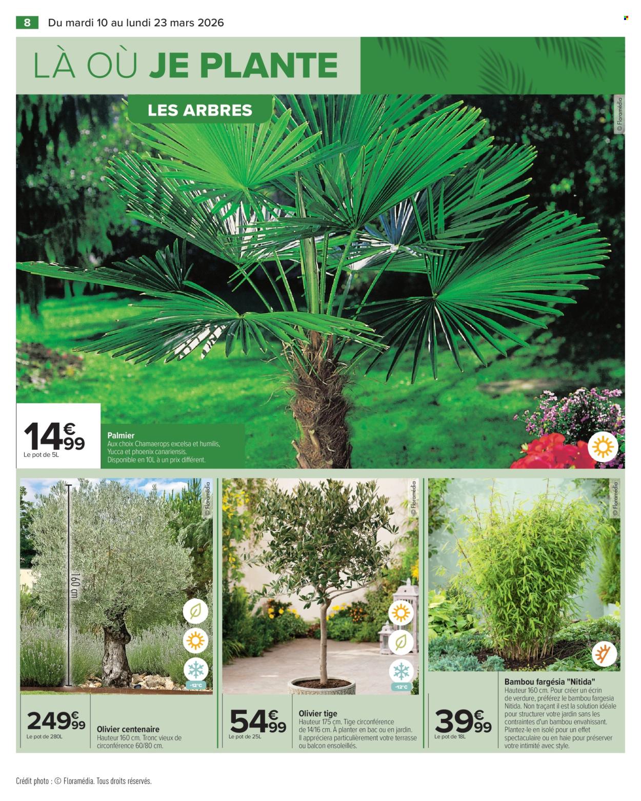 Catalogue Carrefour Hypermarchés - 10/03/2026 - 23/03/2026. Page 8