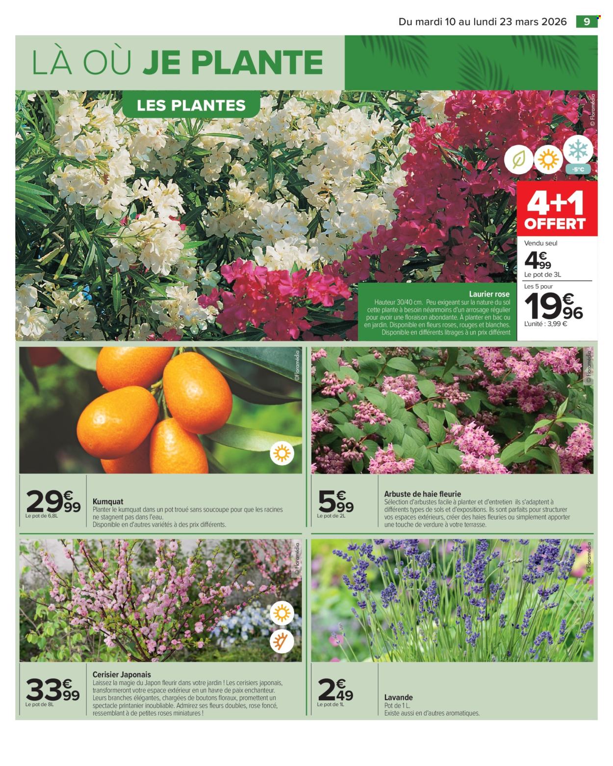 Catalogue Carrefour Hypermarchés - 10/03/2026 - 23/03/2026. Page 9