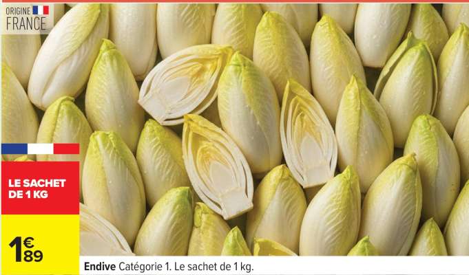 ENDIVE