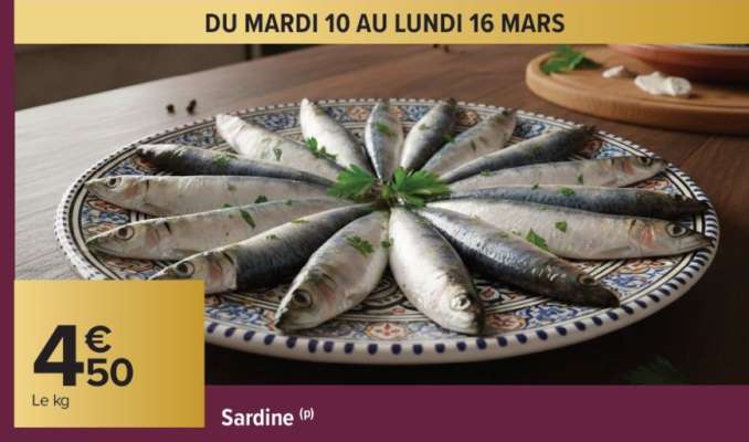 SARDINE