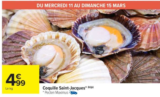 COQUILLE SAINT JACQUES