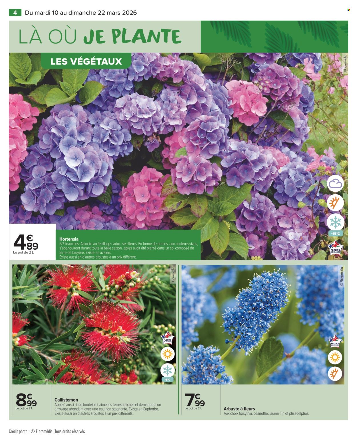 Catalogue Carrefour Market - 10/03/2026 - 22/03/2026. Page 6