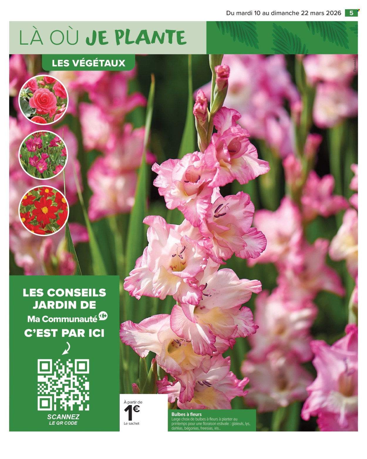 Catalogue Carrefour Market - 10/03/2026 - 22/03/2026. Page 7