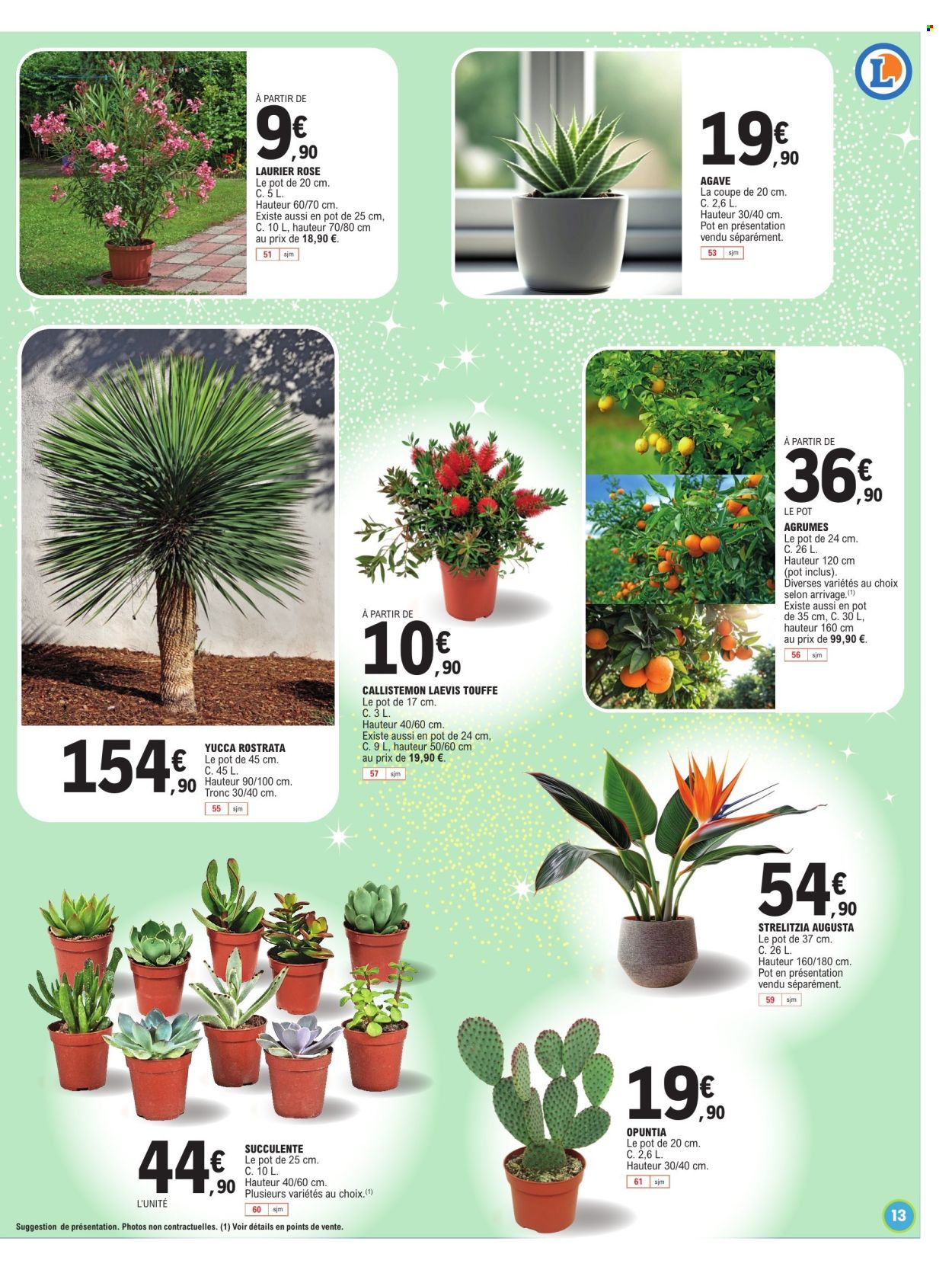 Catalogue E.Leclerc - 10/03/2026 - 14/03/2026. Page 13