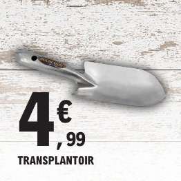 Transplantoir