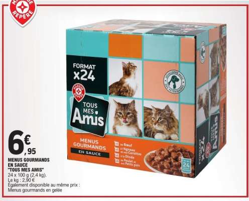 MENUS GOURMANDS EN SAUCE "TOUS MES AMIS"