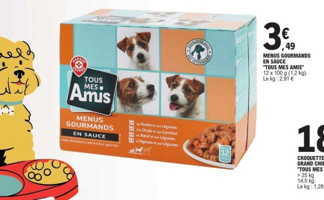 MENUS GOURMANDS EN SAUCE "TOUS MES AMIS"