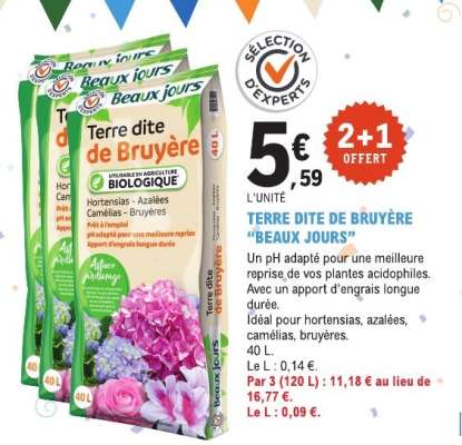 TERRE DITE DE BRUYÈRE “BEAUX JOURS”