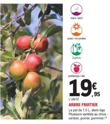Arbre fruitier