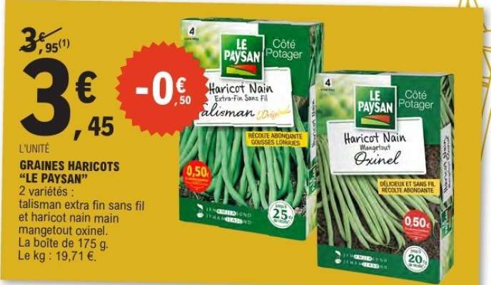 GRAINES HARICOTS “LE PAYSAN”