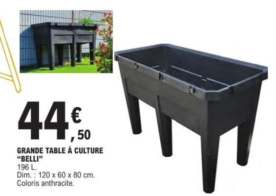 GRANDE TABLE À CULTURE 'BELLI'