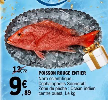 POISSON ROUGE ENTIER