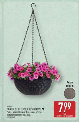 Panier de fleurs à suspendre