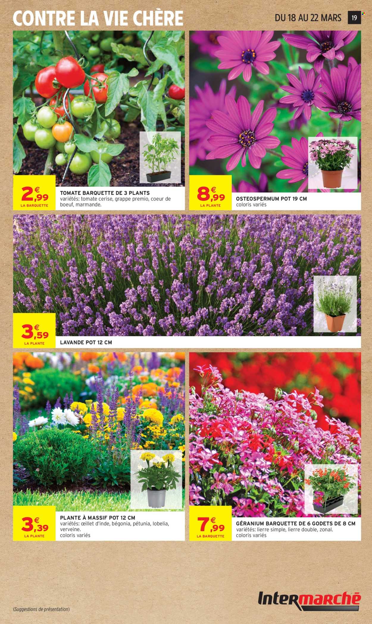 Catalogue Intermarché Hyper - 17/03/2026 - 29/03/2026. Page 19
