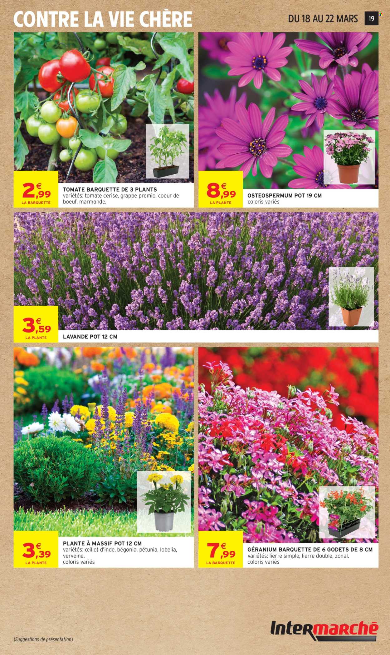 Catalogue Intermarché Super - 17/03/2026 - 29/03/2026. Page 19