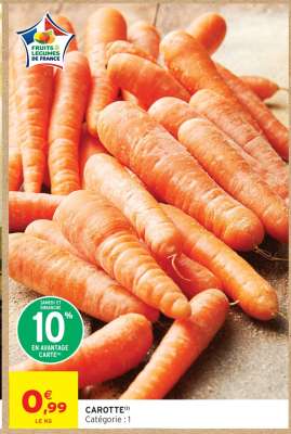 Carotte