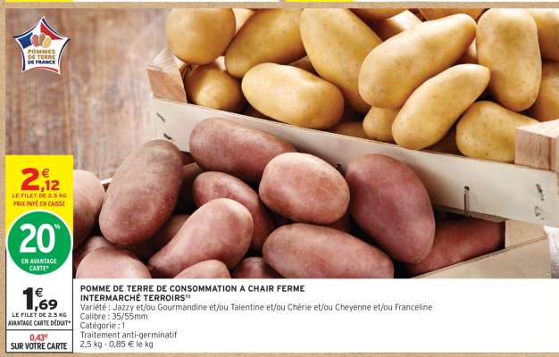 Pomme de terre de consommation à chair ferme Intermarché Terroirs