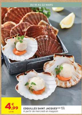 Coquilles Saint-Jacques