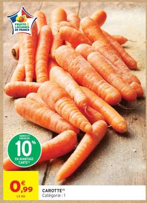 Carotte