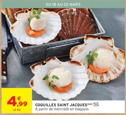 Coquilles Saint-Jacques