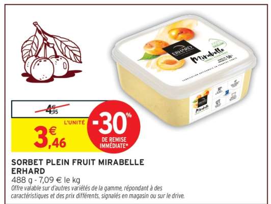 SORBET PLEIN FRUIT MIRABELLE ERHARD
