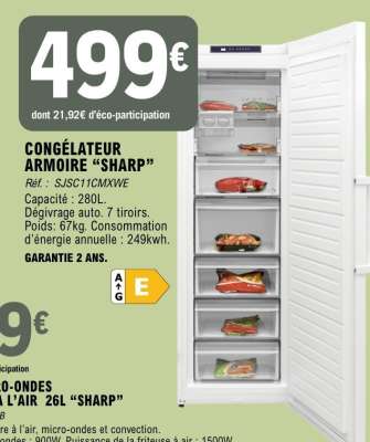 Congélateur Armoire Sharp