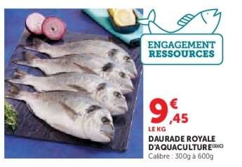 DAURADE ROYALE D'AQUACULTURE