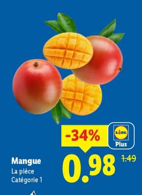 Mangue