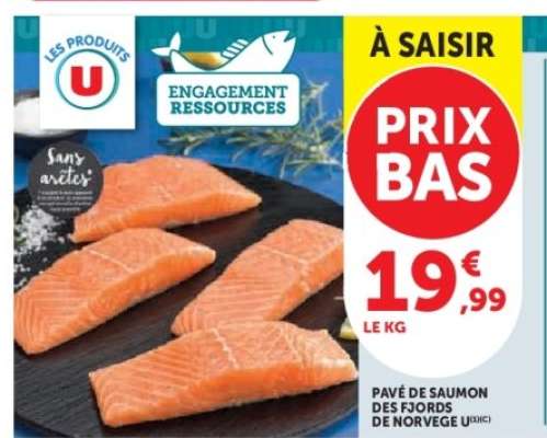 Pavé de Saumon des Fjords de Norvège