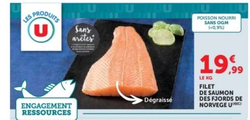 Filet de saumon des fjords de Norvège U