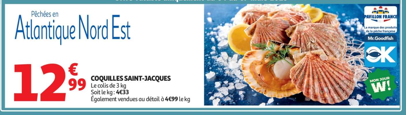 Coquilles Saint-Jacques