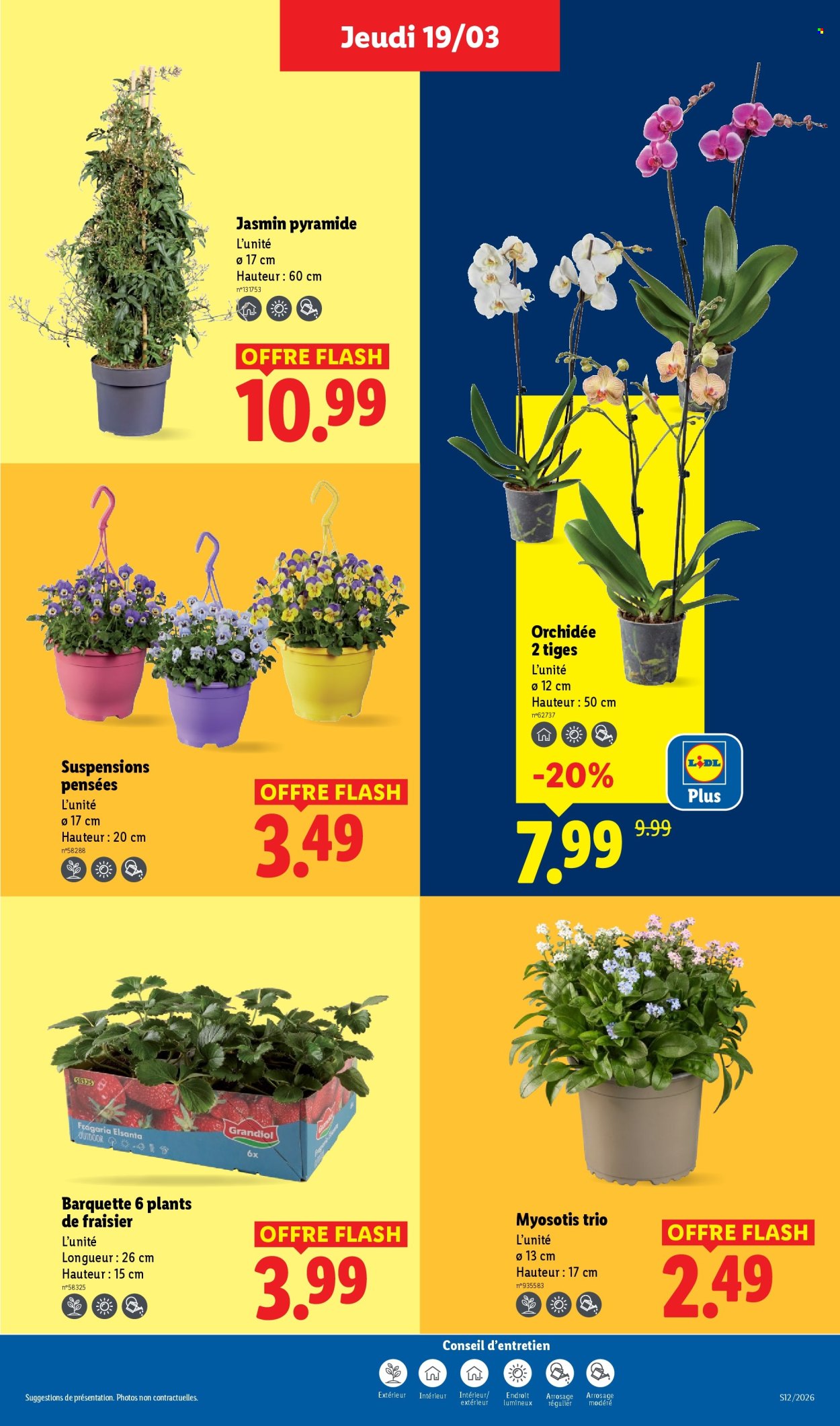 Catalogue Lidl - 19/03/2026 - 25/03/2026. Page 27