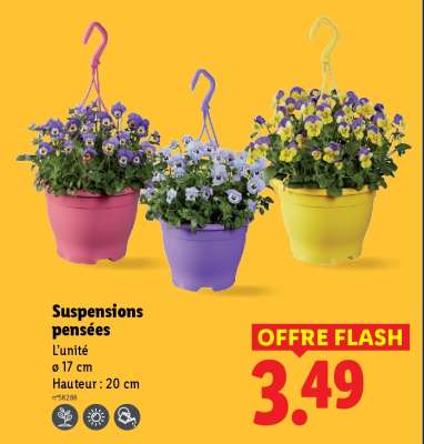 Suspensions pensées