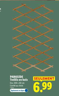 PARKSIDE Treillis en bois