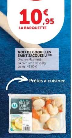 NOIX DE COQUILLES SAINT JACQUES U