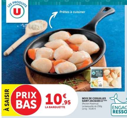 NOIX DE COQUILLES SAINT JACQUES U