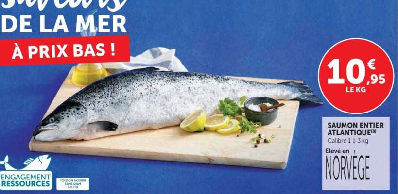 Saumon entier Atlantique