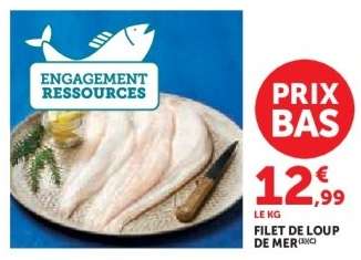 Filet de Loup de Mer