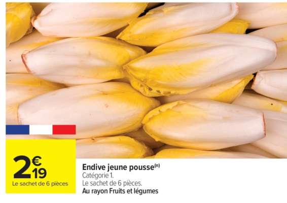 Endive jeune pousse