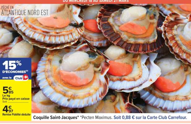 COQUILLE SAINT JACQUES