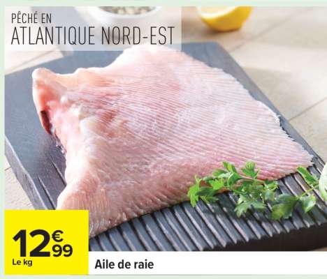 AILE DE RAIE