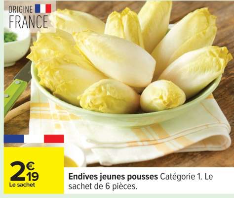 Endives Jeunes Pousses