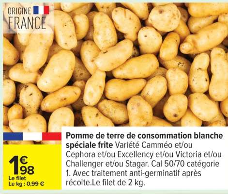 Pomme de terre de consommation blanche spéciale frite