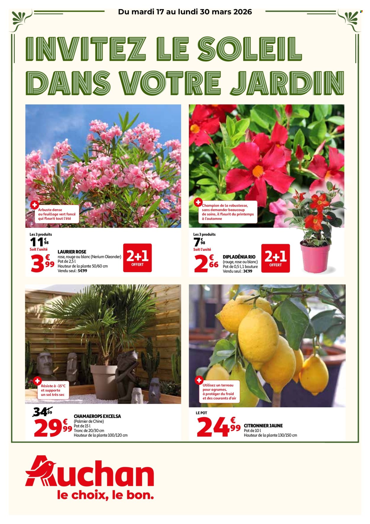 Catalogue Auchan - 17/03/2026 - 30/03/2026. Page 1