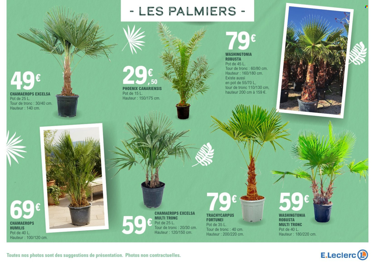 Catalogue E.Leclerc - 17/03/2026 - 28/03/2026. Page 5