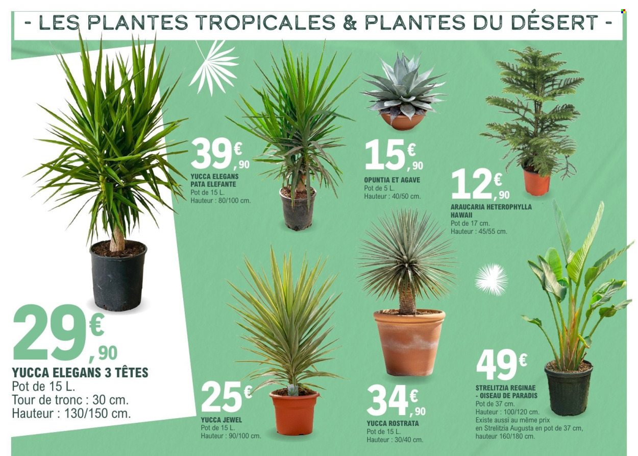 Catalogue E.Leclerc - 17/03/2026 - 28/03/2026. Page 6