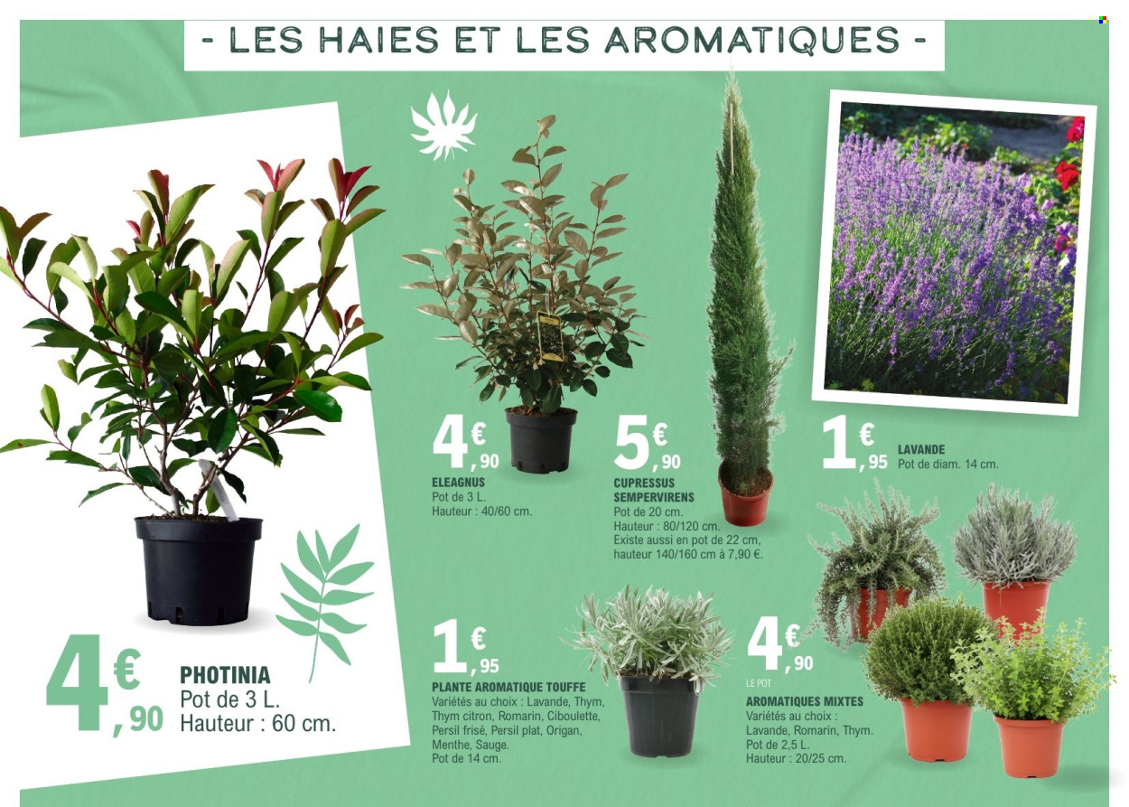 Catalogue E.Leclerc - 17/03/2026 - 28/03/2026. Page 8