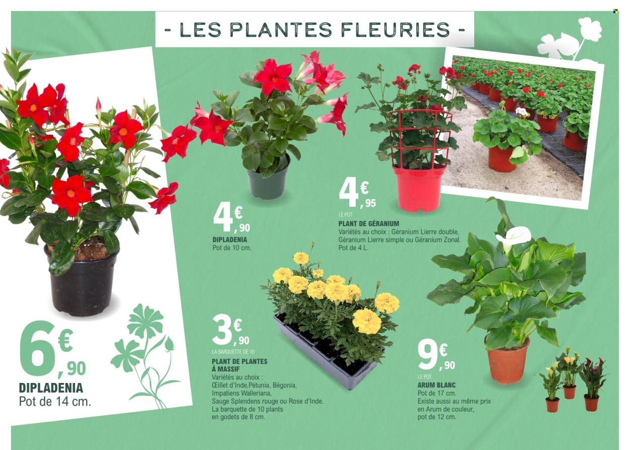 Catalogue E.Leclerc - 17/03/2026 - 28/03/2026. Page 12