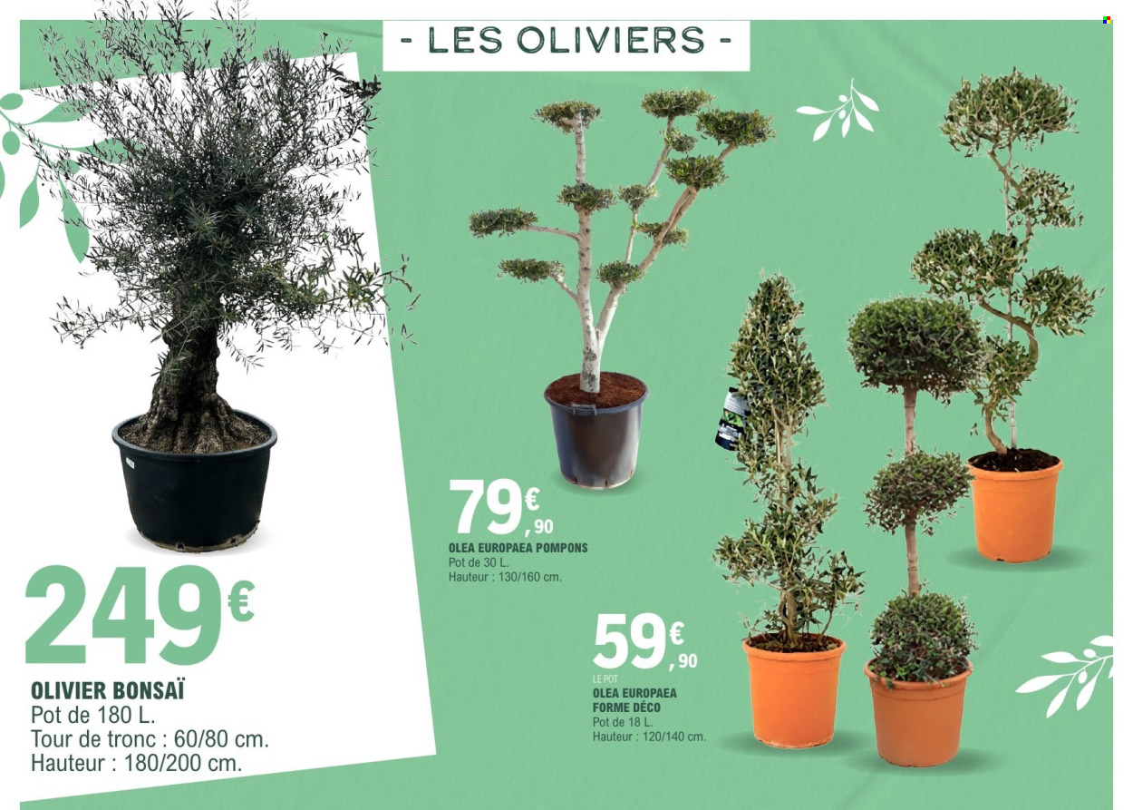 Catalogue E.Leclerc - 17/03/2026 - 28/03/2026. Page 4