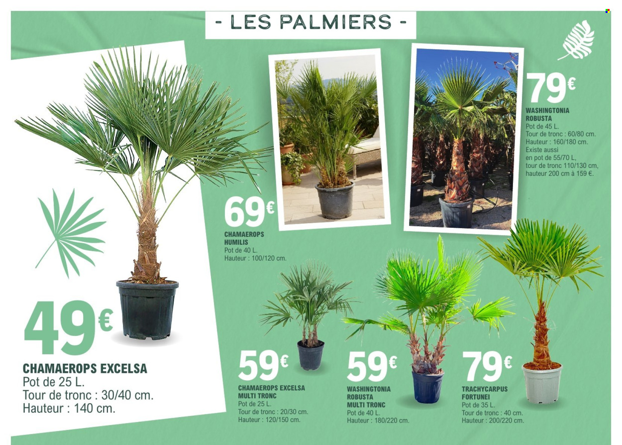 Catalogue E.Leclerc - 17/03/2026 - 28/03/2026. Page 6